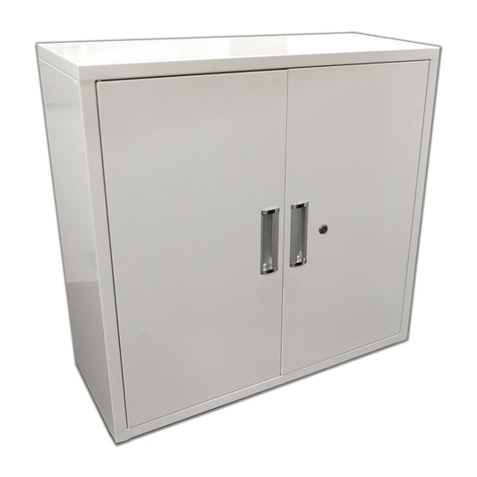 Rx Metal Pharmacy Wall Mounted Security Cabinet
