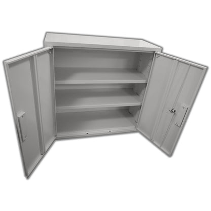 Rx Metal Pharmacy Wall Mounted Security Cabinet